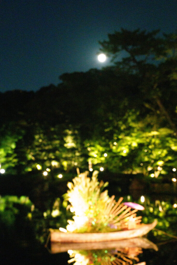 SR500076-3-2.jpg SR500076-3-2.jpg